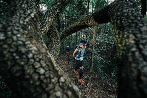 BIB: 
                            <button type="button" onclick="openModal(25392041)" class="btn btn-primary btn-sm float-right btn-popup" data-toggle="modal" data-target=".modal-high-quality">
                        <i class="fas fa-shopping-cart"></i> Add to Cart
                    </button>
                                            <button type="button" onclick="isThisMe(25392041, true)" class="btn btn-success btn-sm float-right btn-popup btn-isme hidden" data-toggle="tooltip" data-placement="bottom" title="นี่คือรูปของคุณใช่ไหม คลิกที่นี่เพื่อเอาเข้าอัลบั้ม">
                        <i class="fas fa-plus"></i> Add to album
                    </button>
                    <button type="button" onclick="isThisMe(25392041, false)" class="btn btn-warning btn-sm float-right btn-popup btn-isnotme hidden">
                        <i class="fas fa-ban"></i> Remove from album
                    </button>